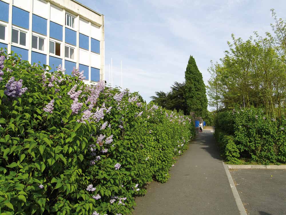 Campus scolaire à Châteaubriant