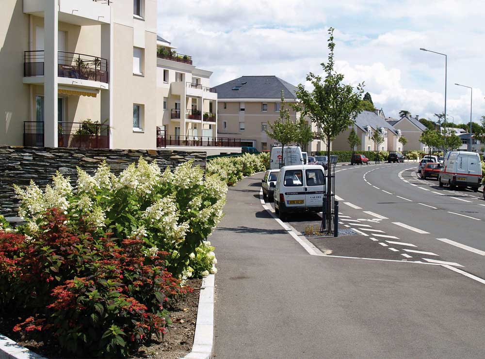 La rue des hydrangeas à Angers