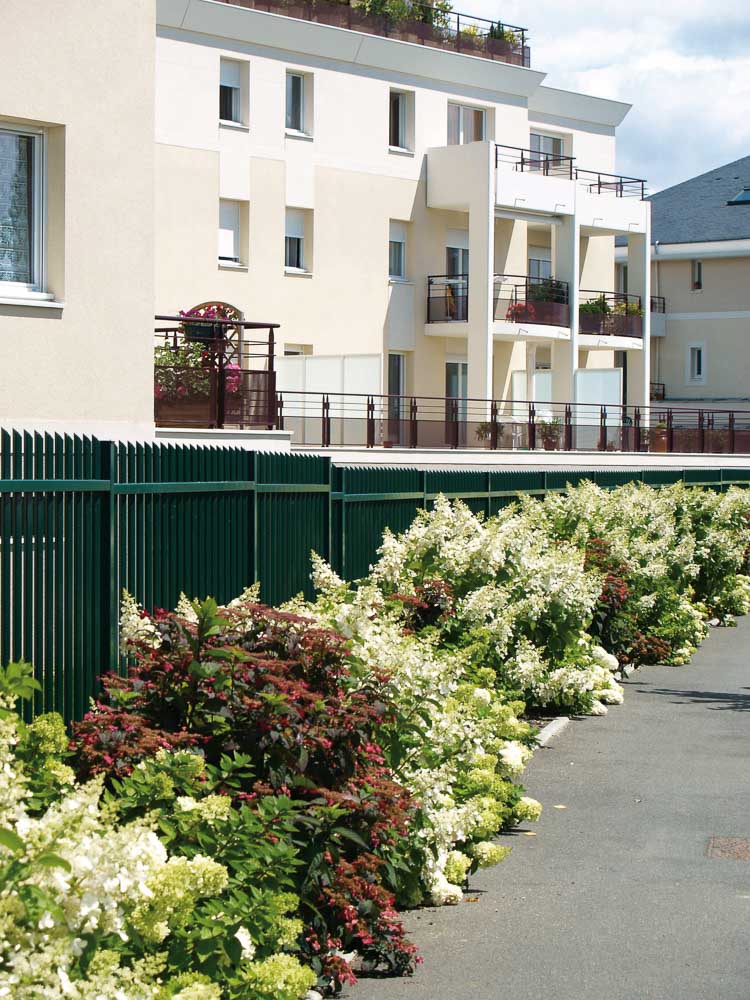 La rue des hydrangeas à Angers