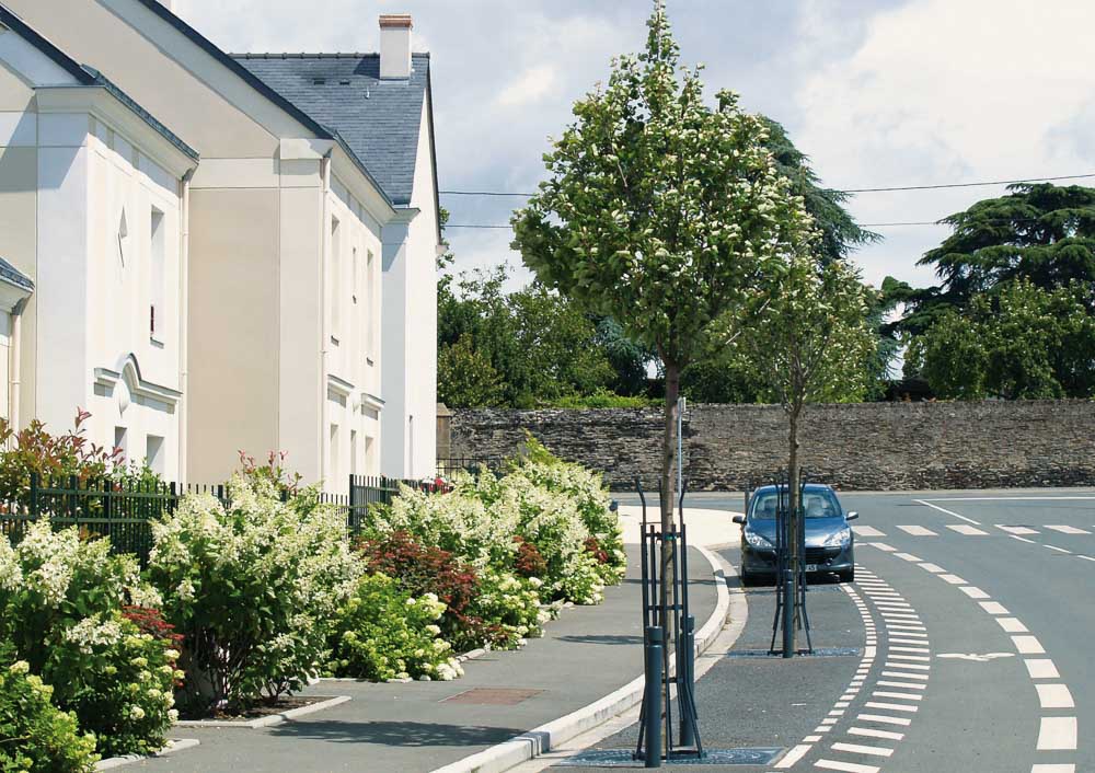 La rue des hydrangeas à Angers