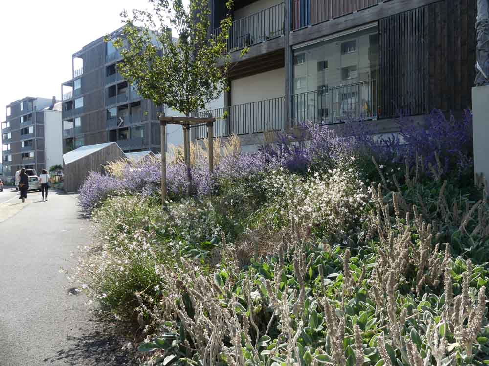 Résidence Plaisance à Saint-Nazaire